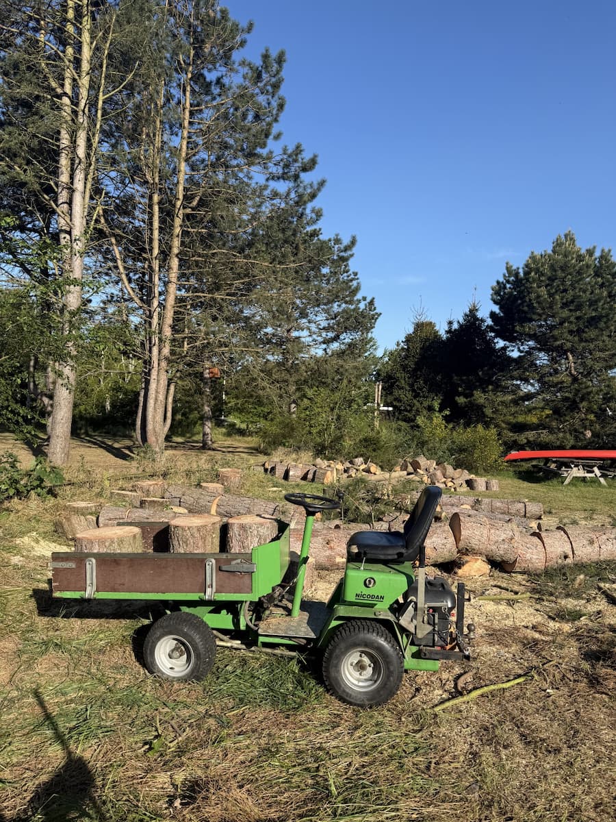 Afskåret træstammer med maskine