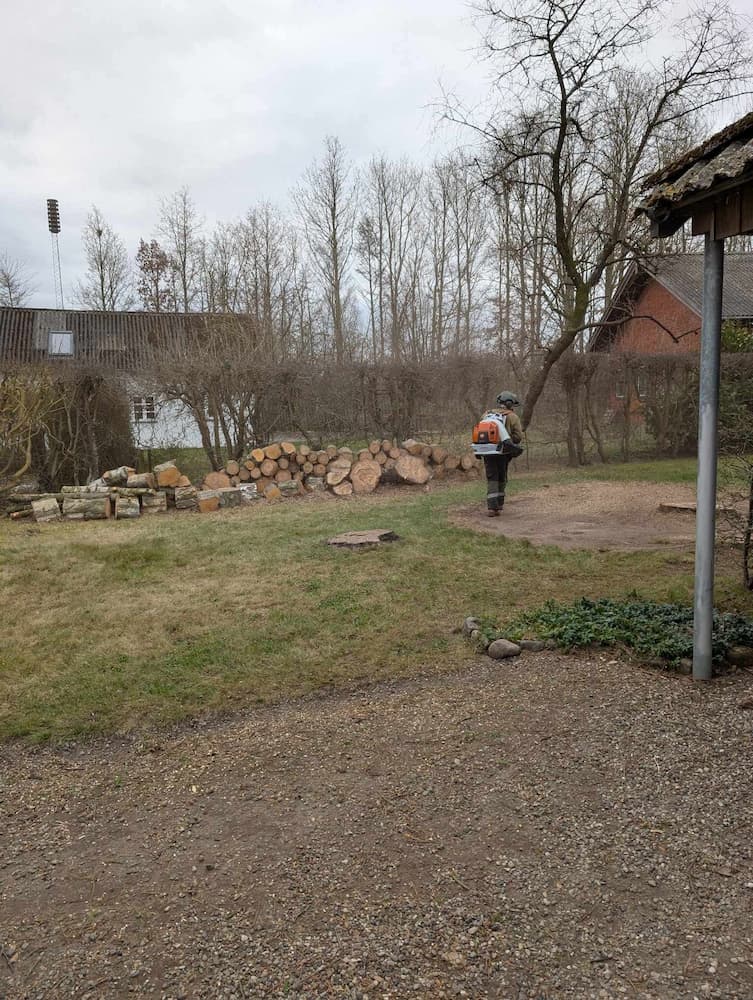 indkørsel i have med træstammer