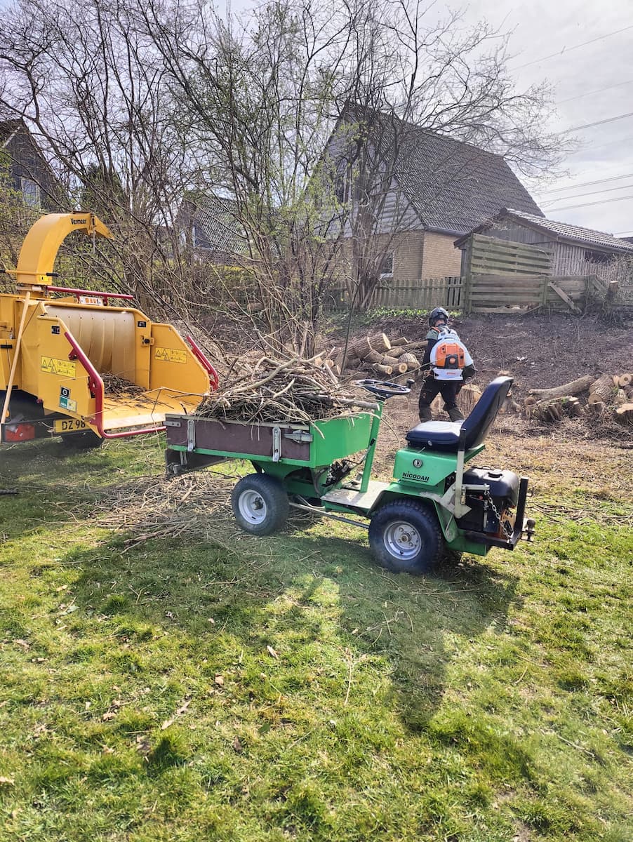 maskine og væltet træ