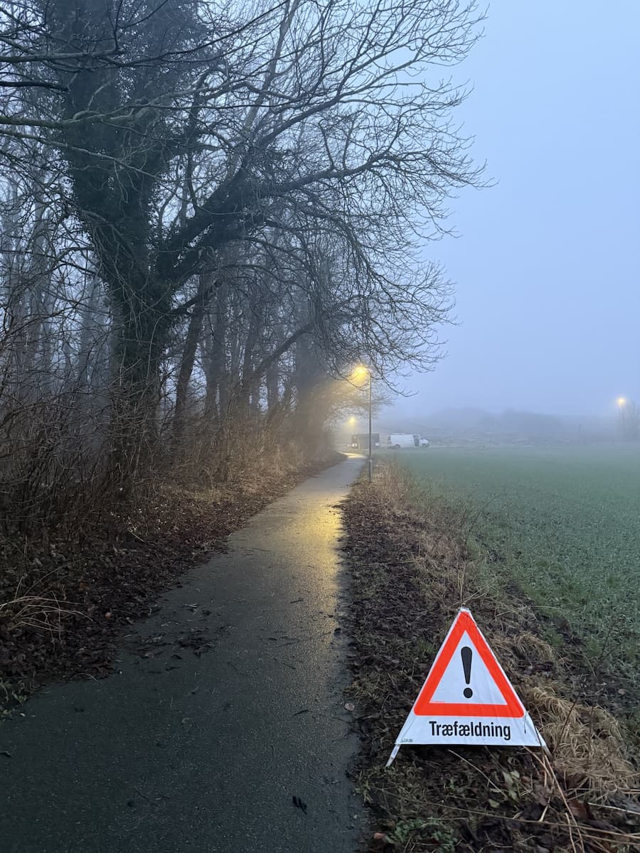 tåget sti med vejskift med træfældning